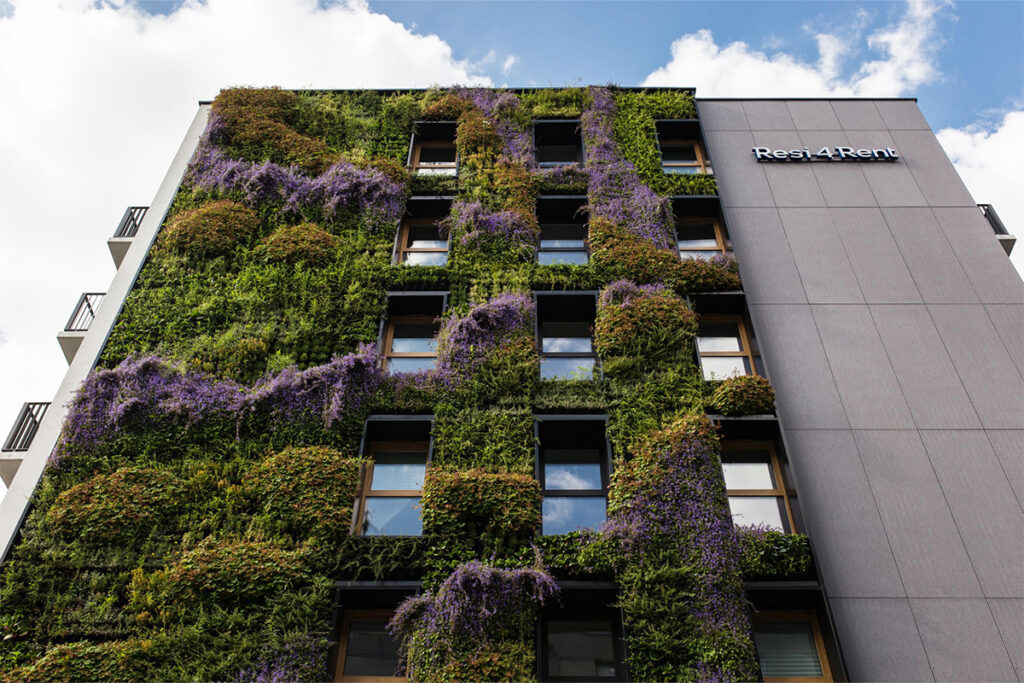 cracow muro vegetal