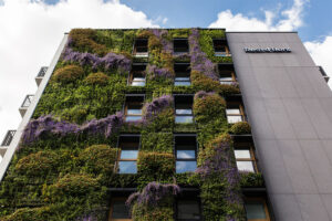 cracow muro vegetal