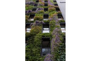 jardin vertical hotel polonia