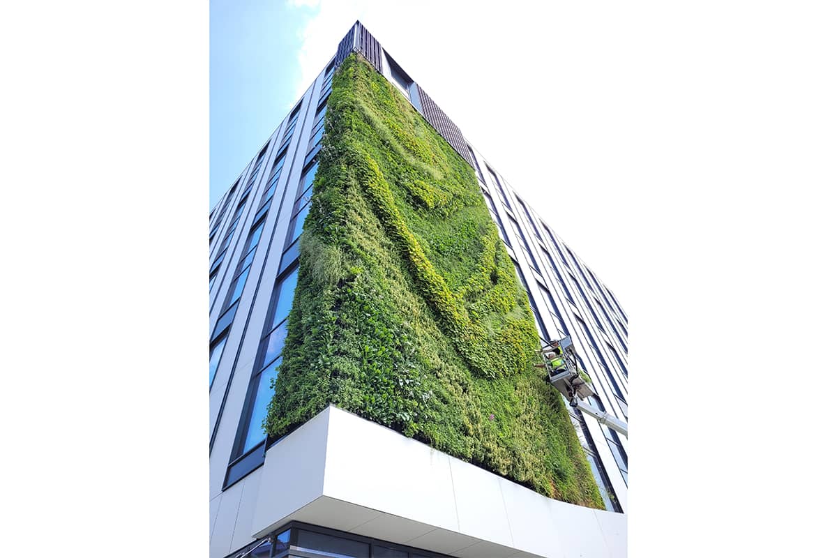 jardin vertical katowice