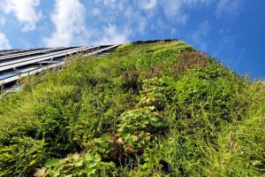 jardin vertical mercure hotel polonia