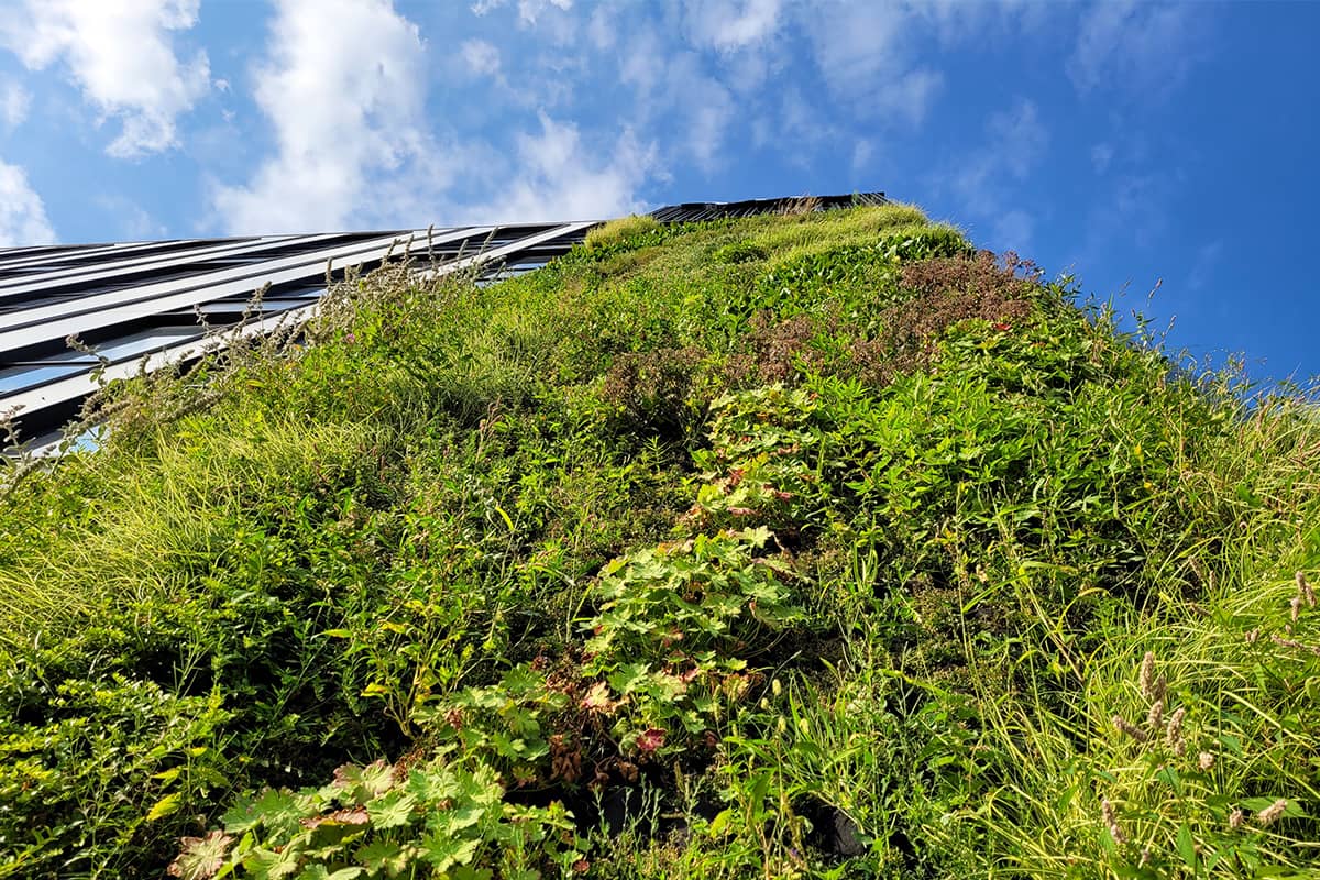 jardin vertical mercure hotel polonia