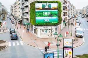 knokke muro vegetal