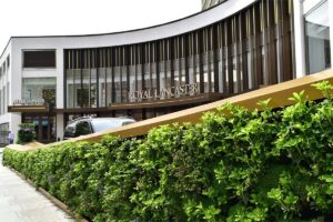 RLH jardin vertical