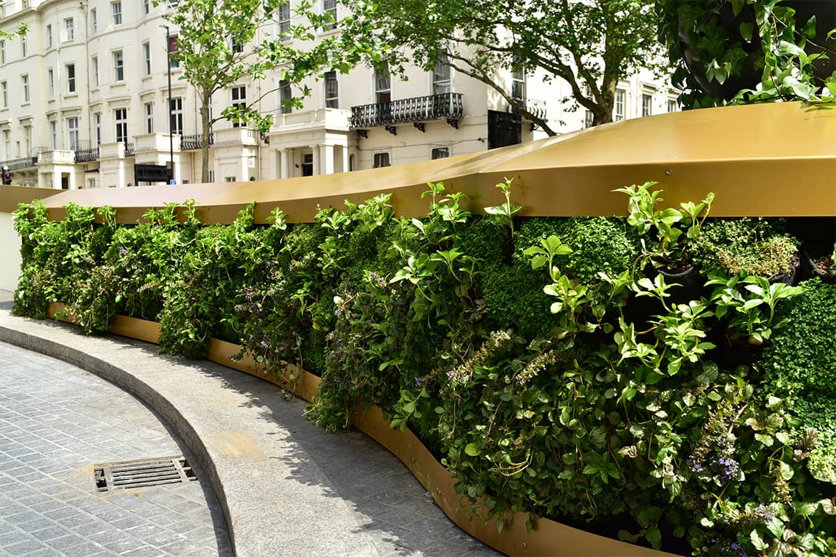 lancaster hotel muro vegetal