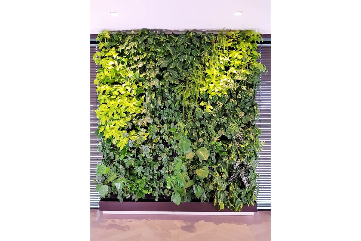 jardin vertical villa fernando