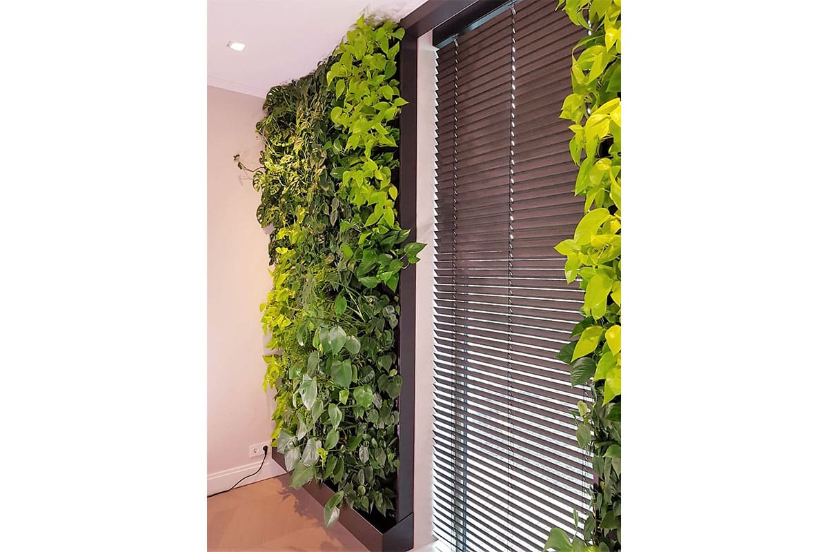 jardin vertical lijnden villa