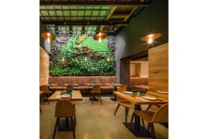 mamarracha jardin vertical
