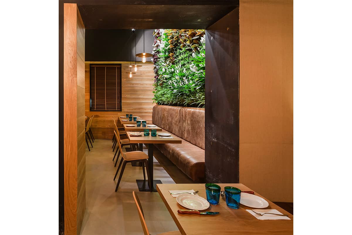 jardin vertical mamarracha