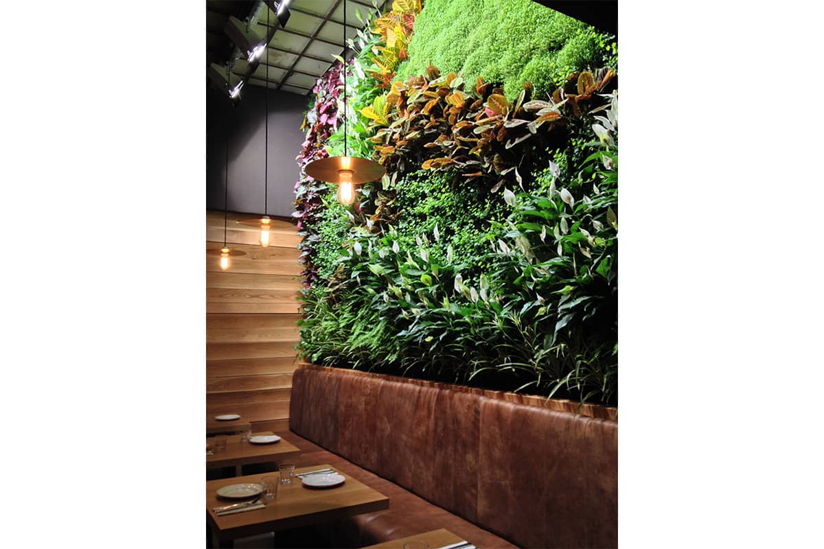 mamarracha muro vegetal