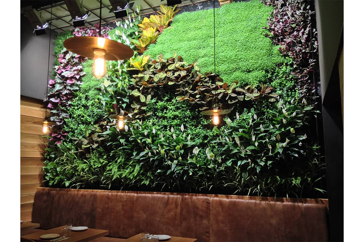 muro vegetal mamarracha