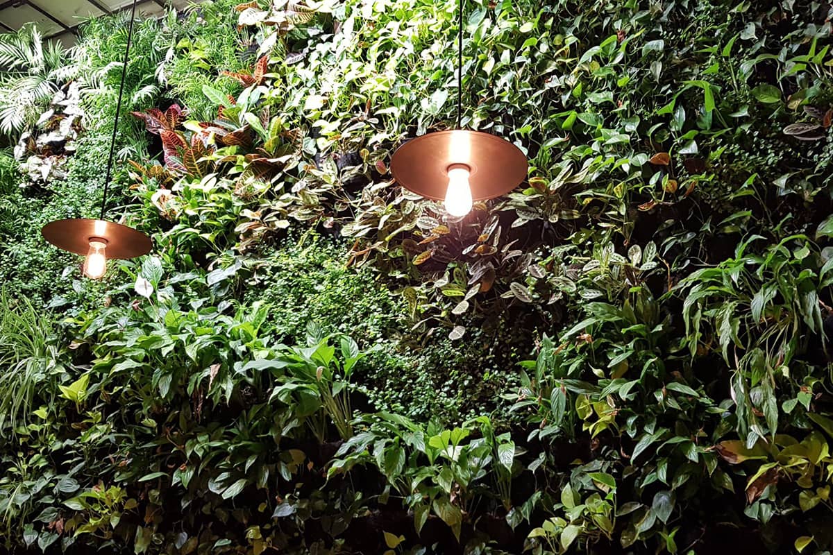 mamarracha iluminacion jv