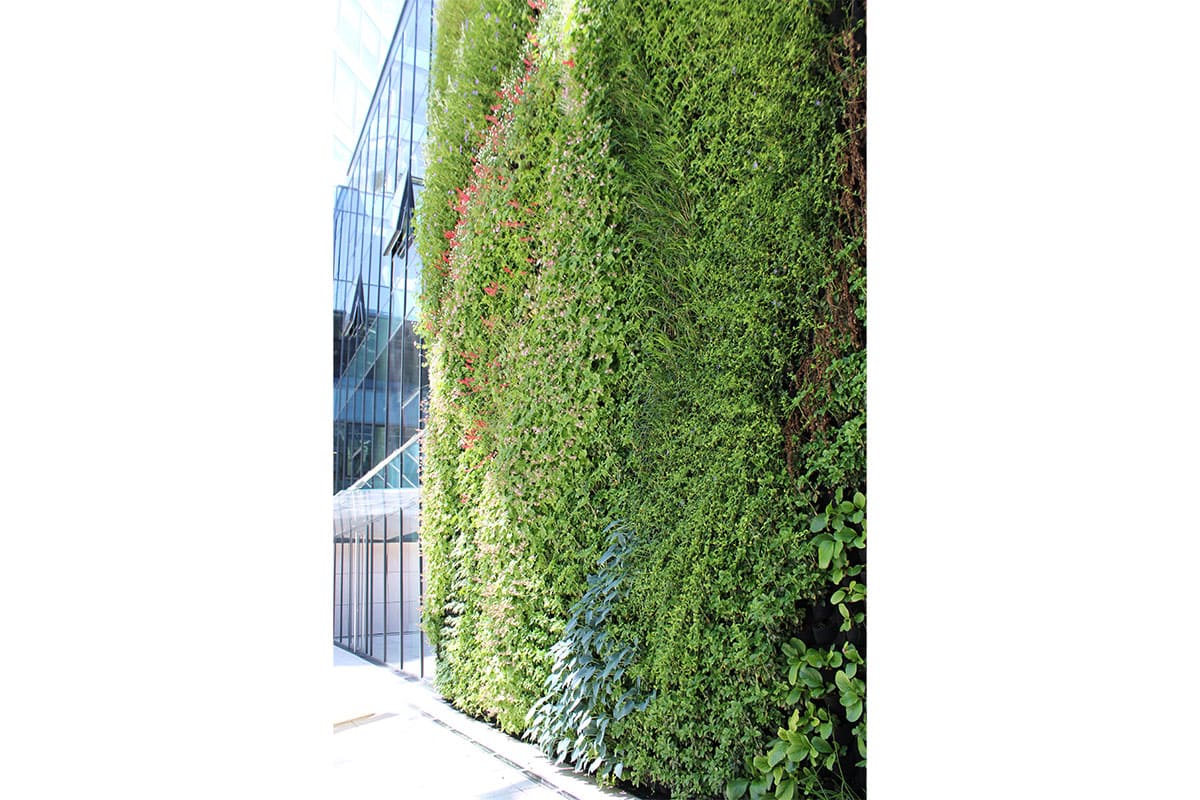 muro vegetal posejdon