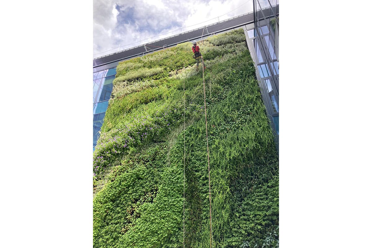 posejdon muro vegetal