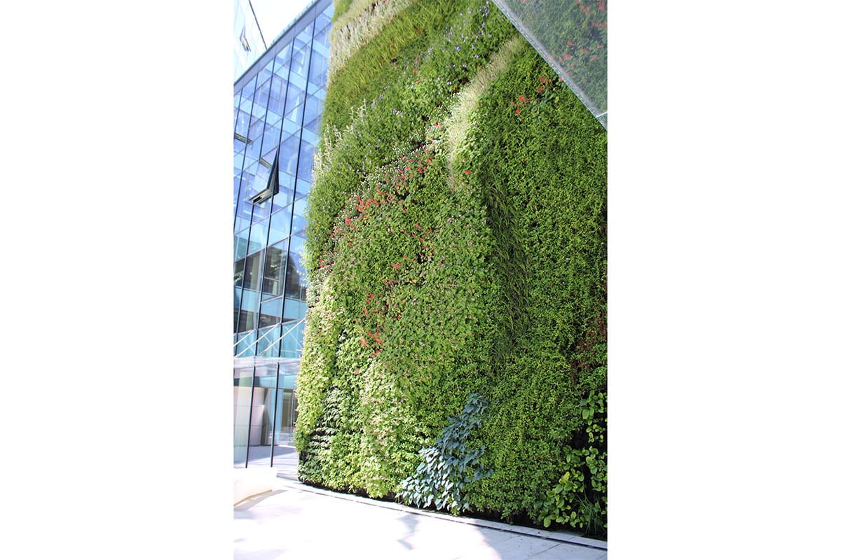 hotel posejdon jardin vertical