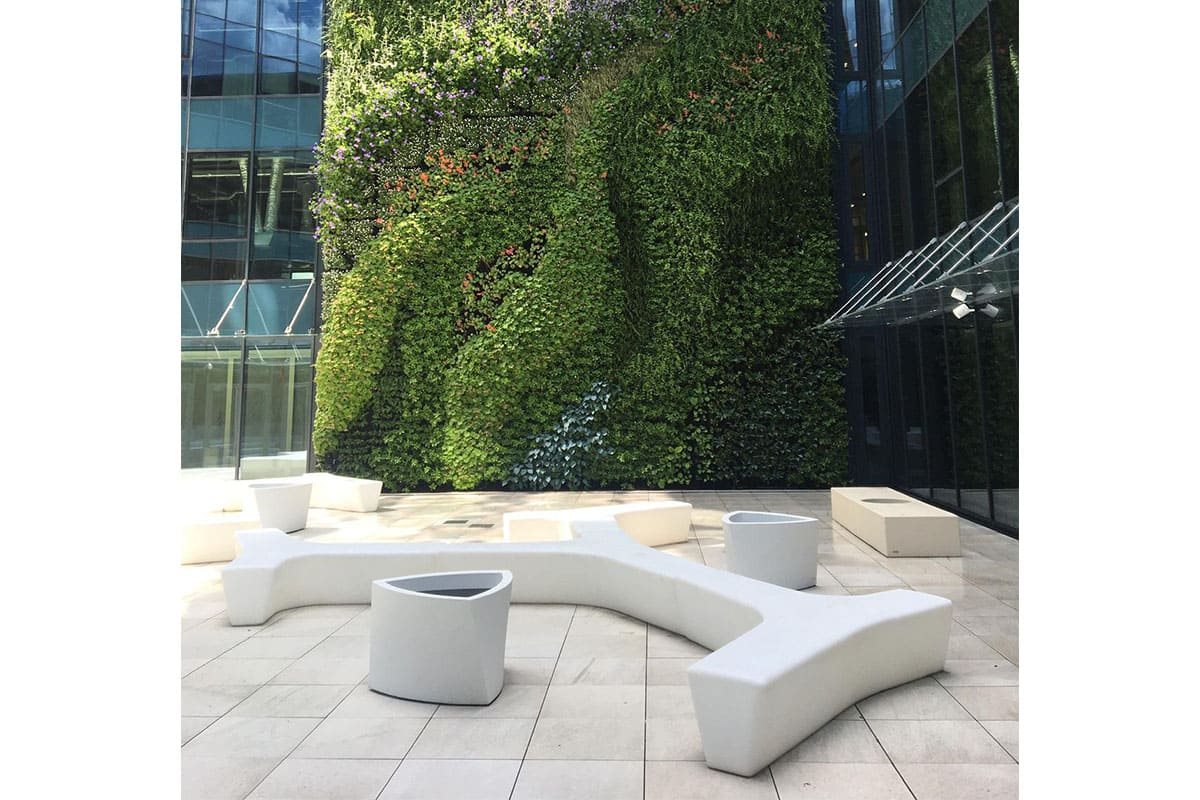 hotel posejdon muro vegetal