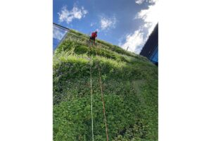 hotel posejdon polonia jardin vertical