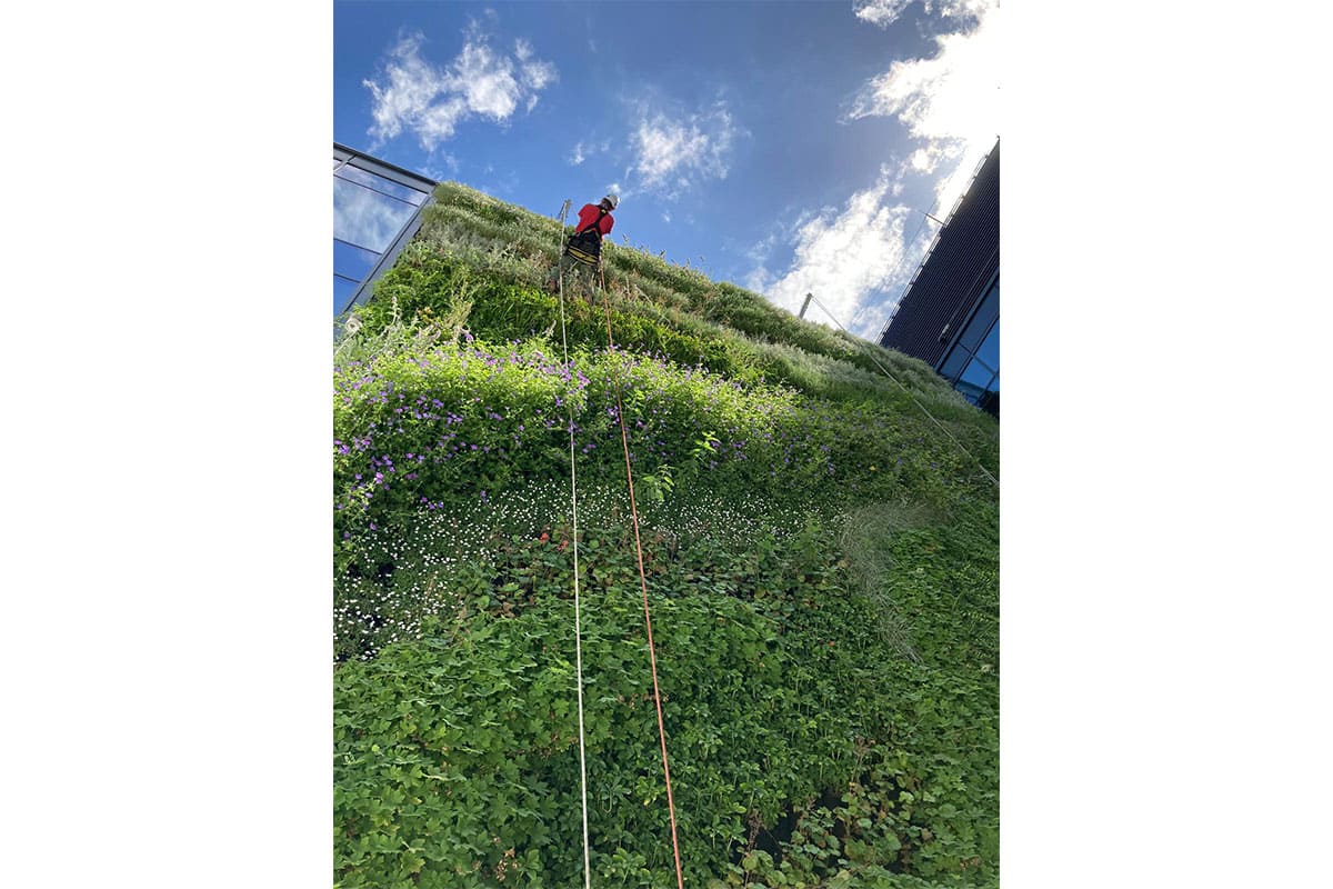 hotel posejdon polonia jardin vertical