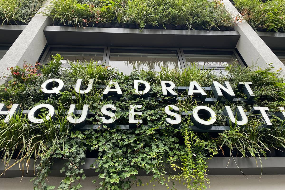 quadrant muro vegetal
