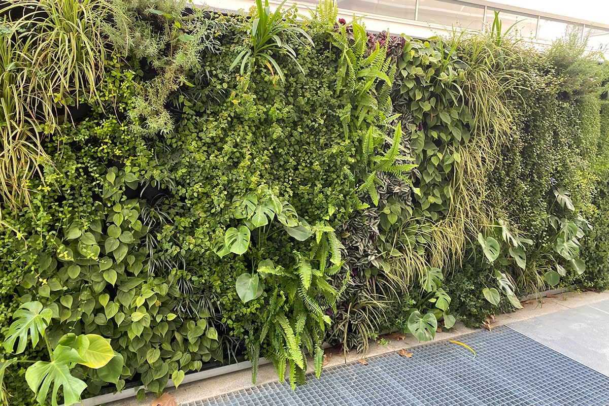 quiron materno infantil jv