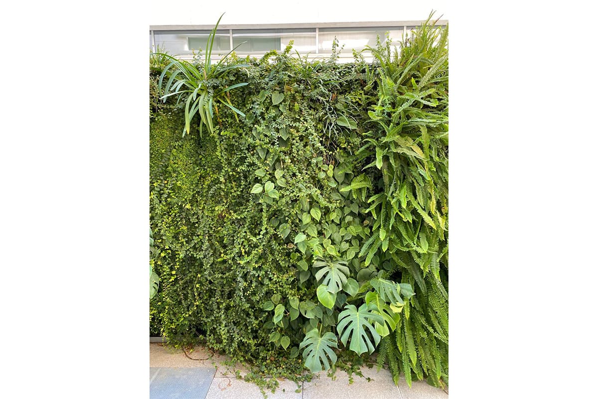 jv quiron materno infantil