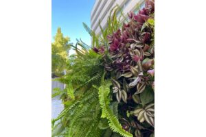 materno infantil muro vegetal