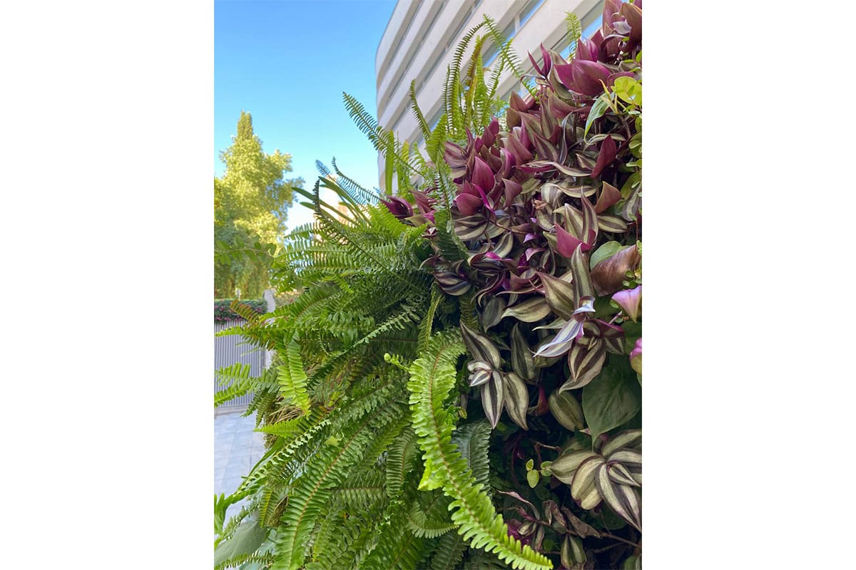 materno infantil muro vegetal