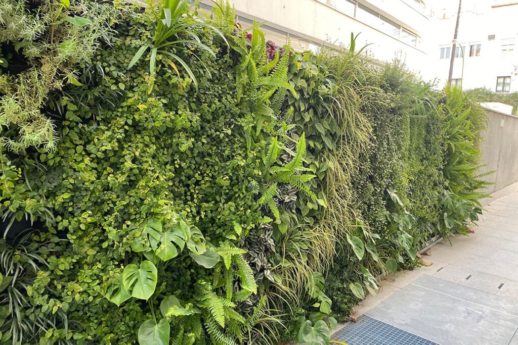 muro vegetal materno infantil
