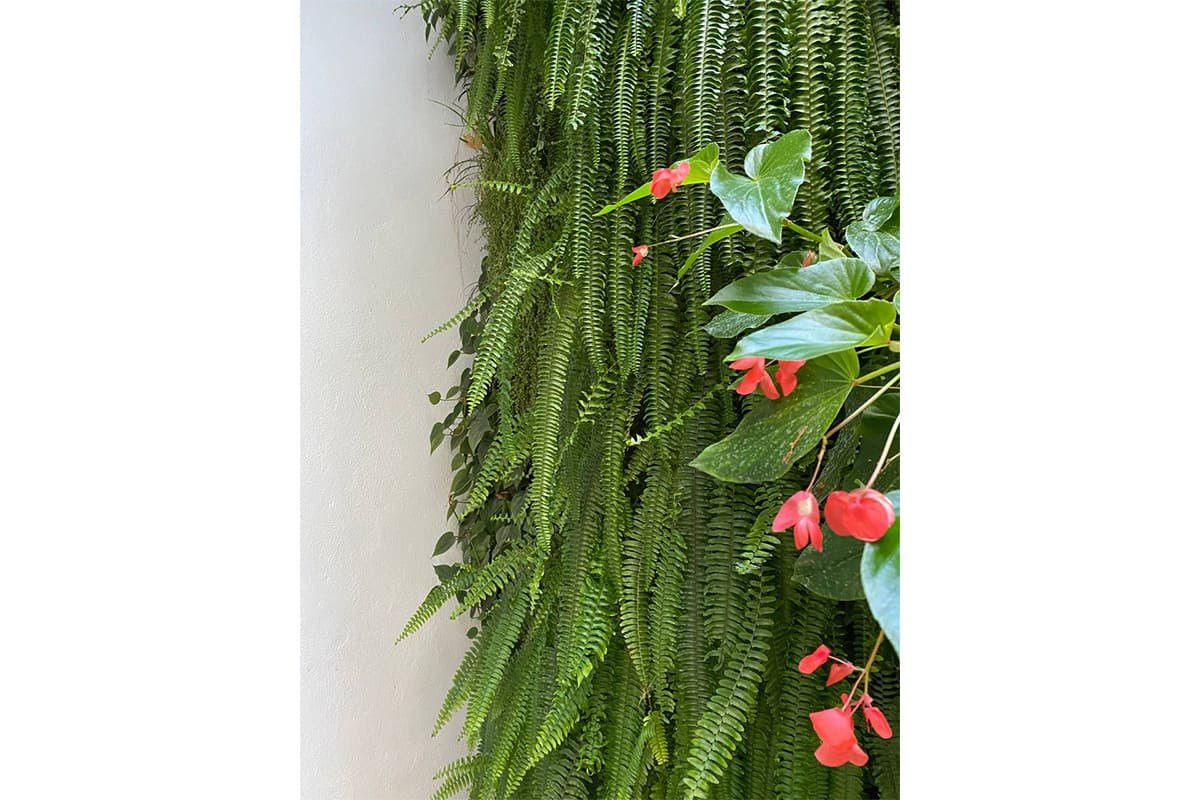 quiron materno infantil fachada vegetal