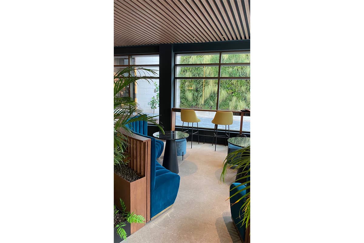 radisson muro vegetal