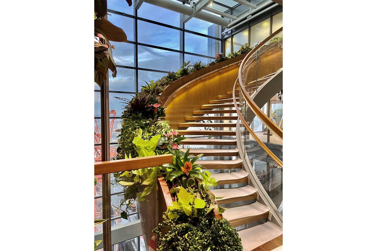 escalera vegetal salesforce london