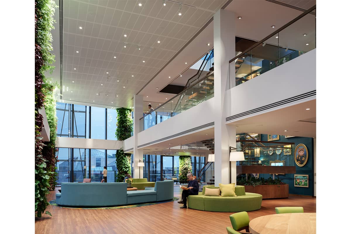 columnas vegetales salesforce dublin