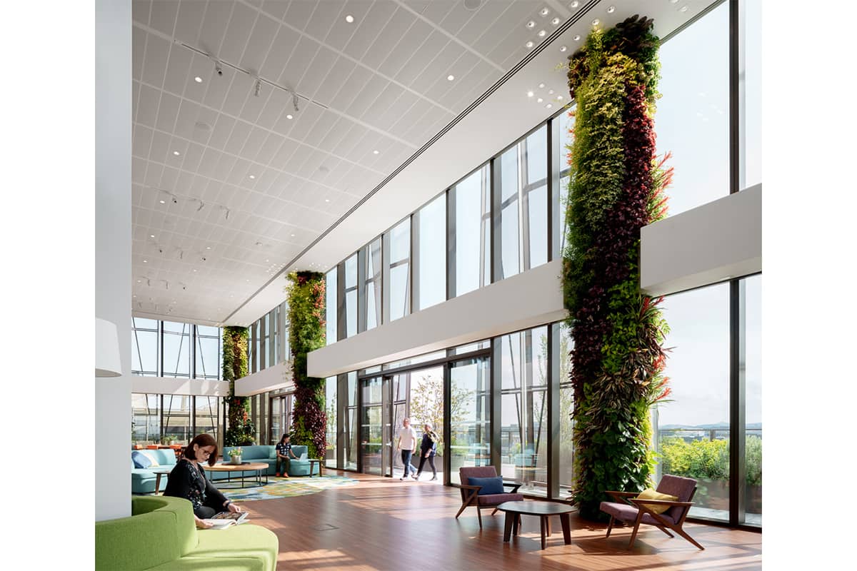 columnas vegetales salesforce