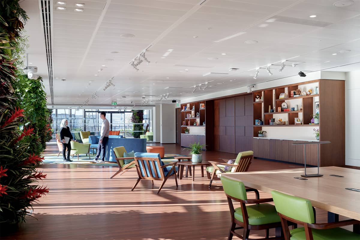 Salesforce vegetacion interior