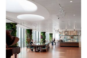 vegetacion interior salesforce