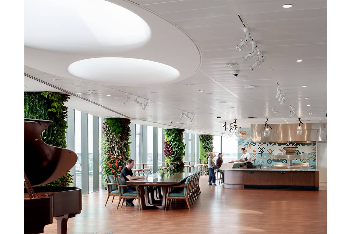 vegetacion interior salesforce