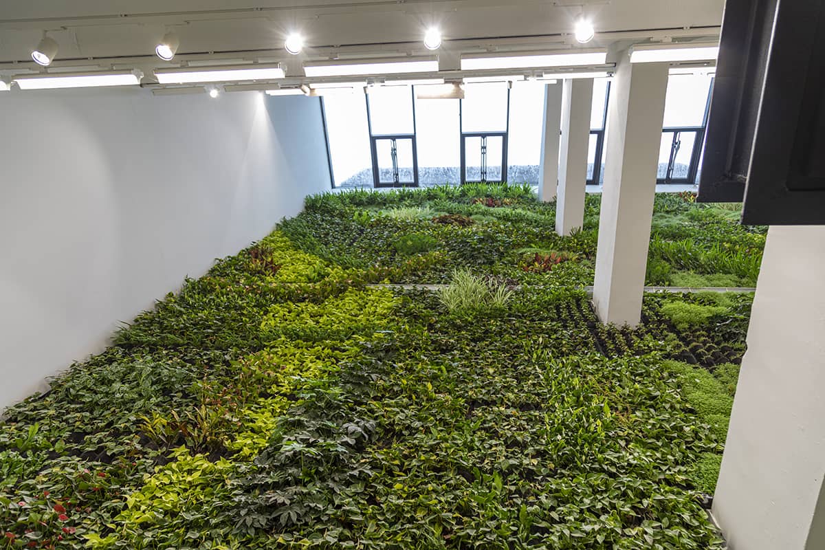 tabacalera jardin vertical