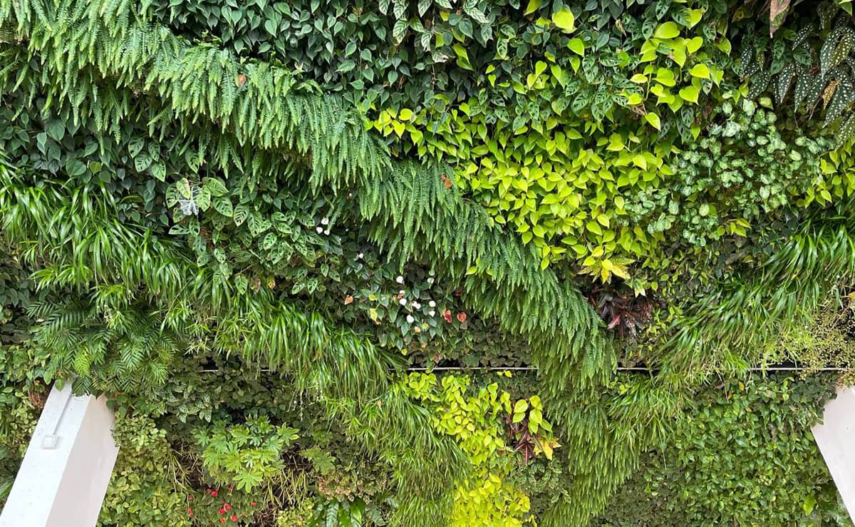 santander jardin vertical