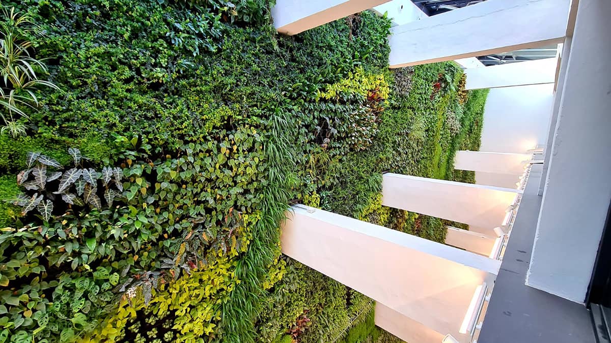 centro civico jardin vertical