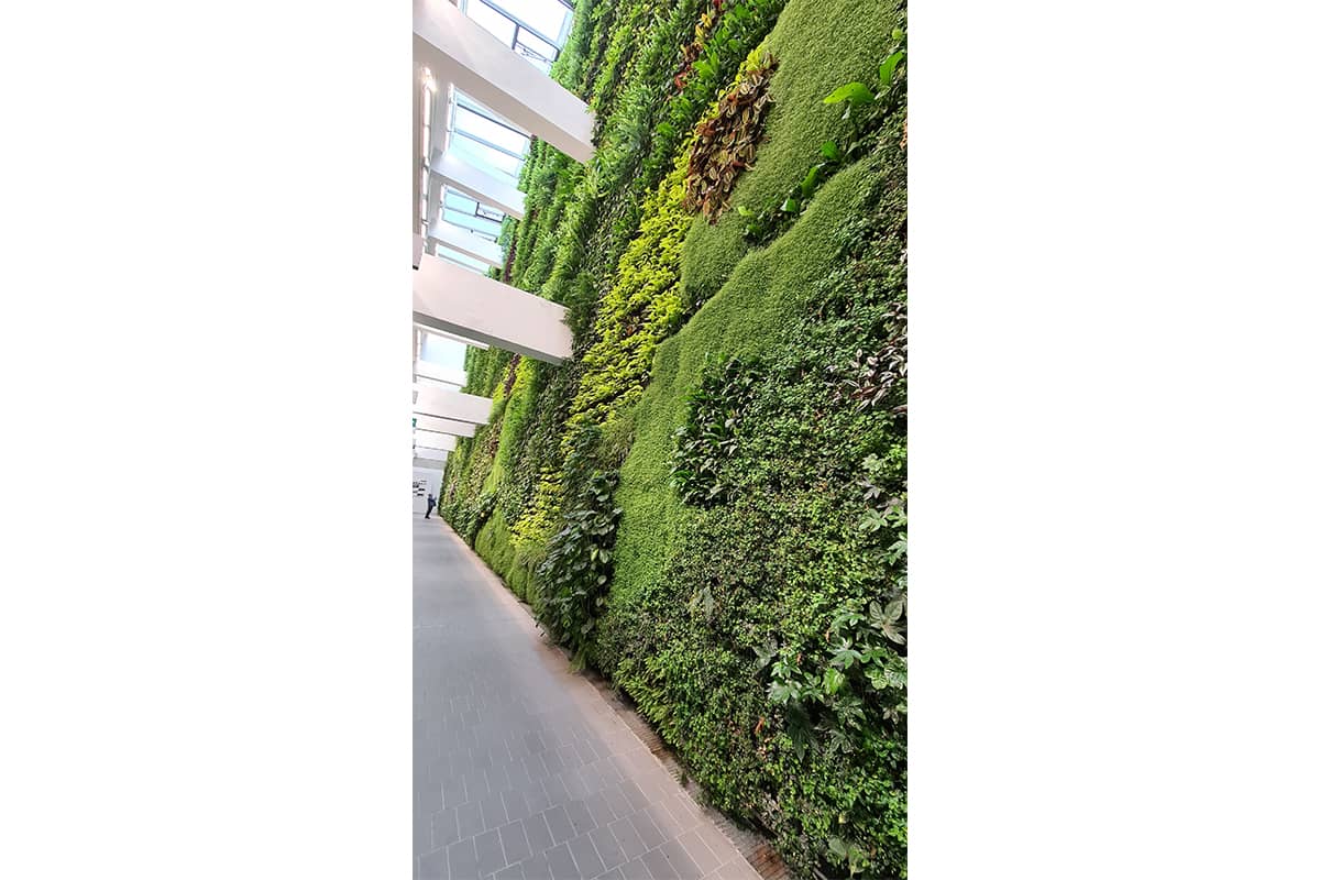 santander jardin vertical interior