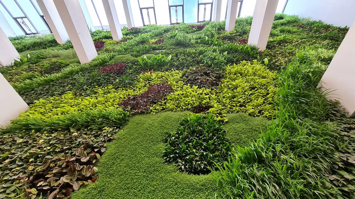 tabacalera centro civico