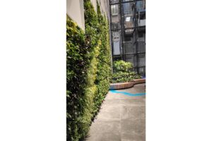 ums muro vegetal