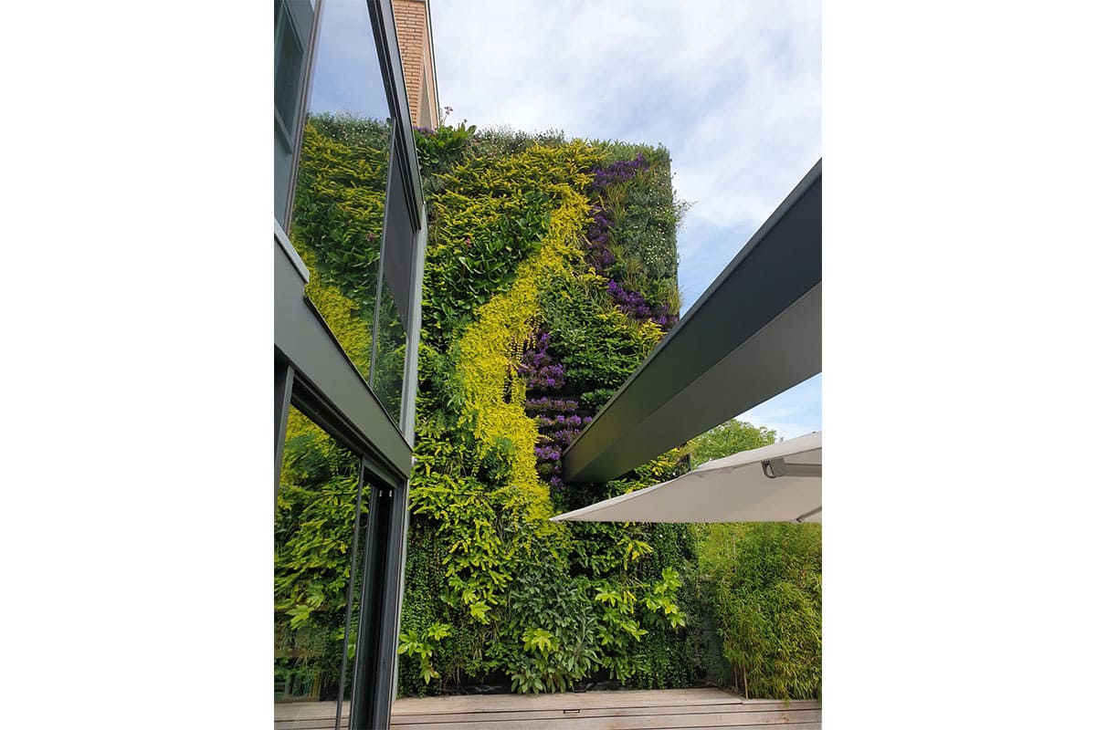 utrecht muro vegetal
