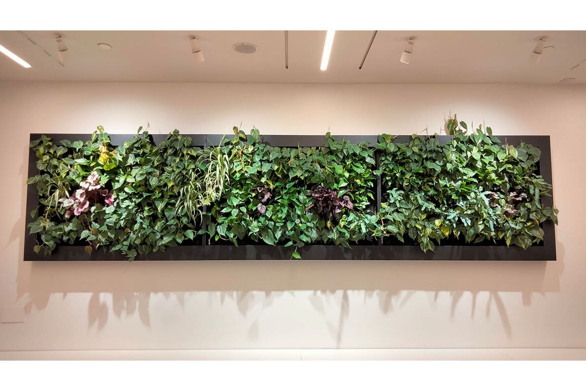 jardin vertical zara