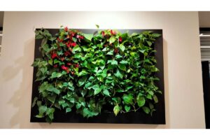 jv interior zara