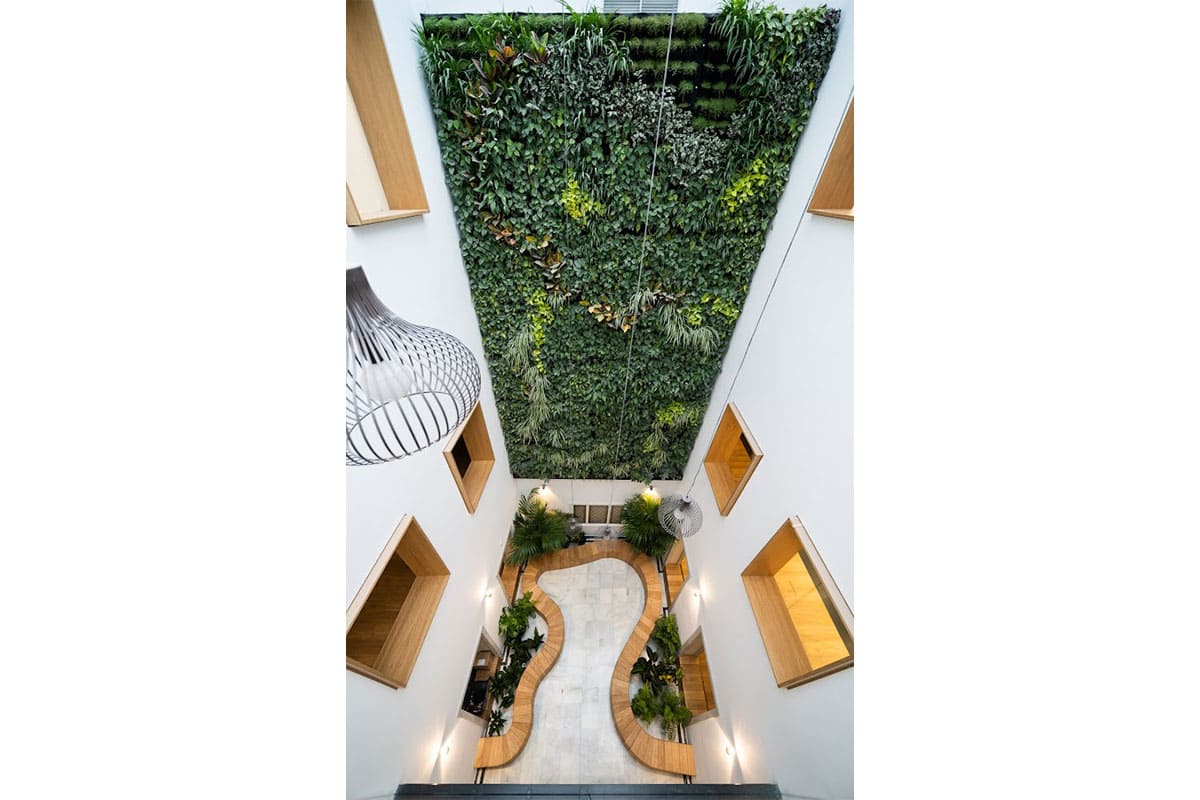 muro vegetal zona franca