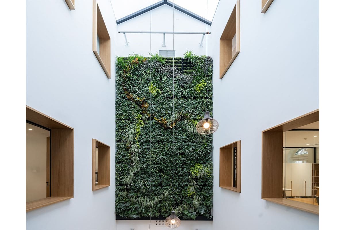 zona franca muro vegetal