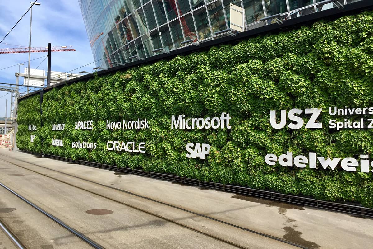 zurich muro vegetal