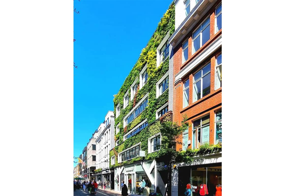 Carnaby Street Living wall