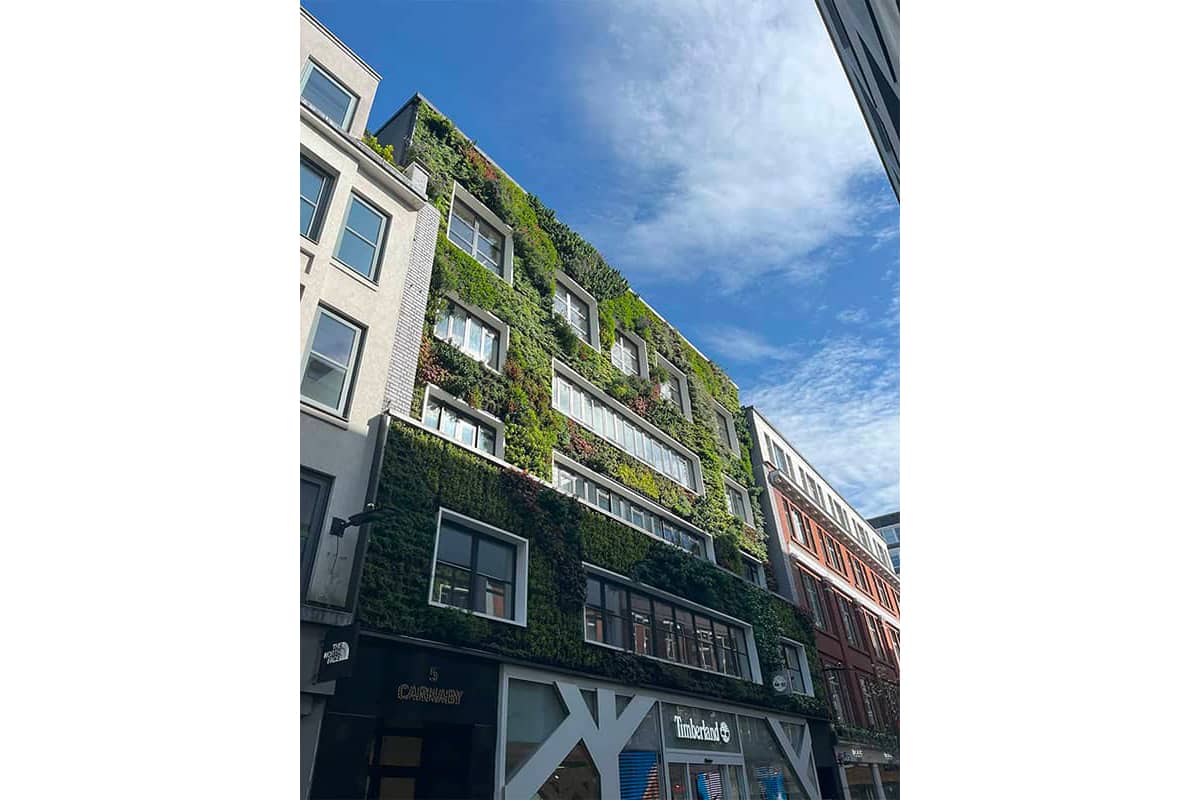carnaby streen muro vegetal